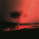 Piss In The Wind (Indie Exclusive LP) cover