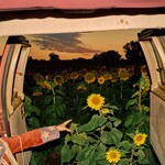 Little Wide Open (Eco-Mix Colour Vinyl LP) cover