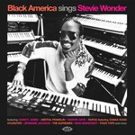 Black America Sings Stevie Wonder cover