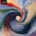 Journey with Beethoven cover