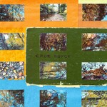 Croz Boyce (LP) cover