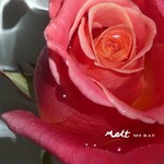Melt (12") cover