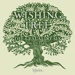 Wishing Tree cover