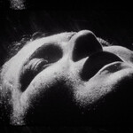 Sycophant (LP) cover