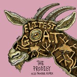 Elitest G.O.A.T. (The Prodigy Acid Thunder Mix) (7") cover
