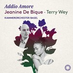 Addio Amore cover
