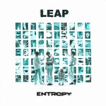 Entropy (LP) cover