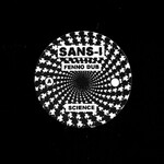 Fenno Dub (12") cover
