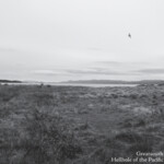 Hellhole of the Pacific (LP) cover
