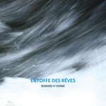 L'étoffe des rêves: Bernard de Vienne cover