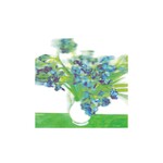 Blue Irises In Hologram (LP) cover