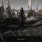 The Dark (Indie Exclusive LP) cover