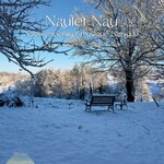 Naulet Nau: Nöels anciens et musique baroque cover
