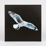 Between The Islands (LP) cover