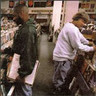 Endtroducing cover