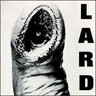 Power Of Lard EP cover