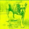 Alice in Chains [U.S. Import] cover