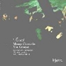 Liszt: Missa Choralis & Via Crucis cover