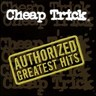 Authorized Greatest Hits cover