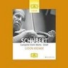 Schubert: Violin Works (Incls Violin Sonatas, Fantasie, Polonaise & Konzertstuck) cover