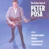 The Guitar Style of Peter Posa cover