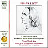 Liszt - Complete Piano Music - Vol. 16 (Piano transcriptions of Beethoven's Songs) cover