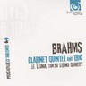 Brahms: Clarinet Quintet Op 115 / Trio for Clarinet, Cello & Piano Op 114 cover