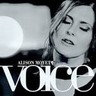 Voice cover