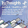 Tru Thoughts: Zebra Traffic Sampler cover