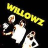 Willowz cover