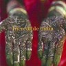 Incredible India cover