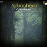Gurrelieder (with Des Sommerwindes wilde Jagd) cover