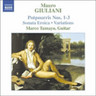 Guitar Music, Vol. 2 (incls Gran Sonata Eroica in A major, Op. 150) cover