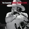 The Essential Charlie Daniels Band cover