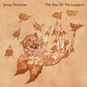 The Year of the Leopard cover
