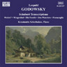 Piano Music, Volume 6 - Schubert Transcriptions cover