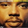 After the Storm cover