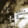 Strength in Numbers cover