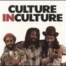 Culture in Culture cover