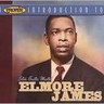 A Proper Introduction to Elmore James - Guitar Masters cover
