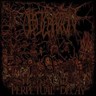 Perpetual Decay cover