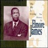 The Sky is Crying - The History of Elmore James cover