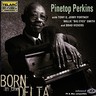 Born in the Delta cover