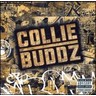 Collie Buddz cover