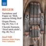 Organ Works Vol. 9 - Variation and Fugue on Heil, unserm Konig Heil / 12 Pieces Op. 65, Nos. 1-6 / Chorale Preludes cover