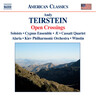 Teirstein: Open Crossing cover
