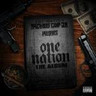 One Nation - The Album cover