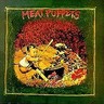 Meat Puppets I cover