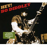 Hey Bo Diddley cover
