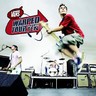 Vans Warped Tour - Twenty Ten cover